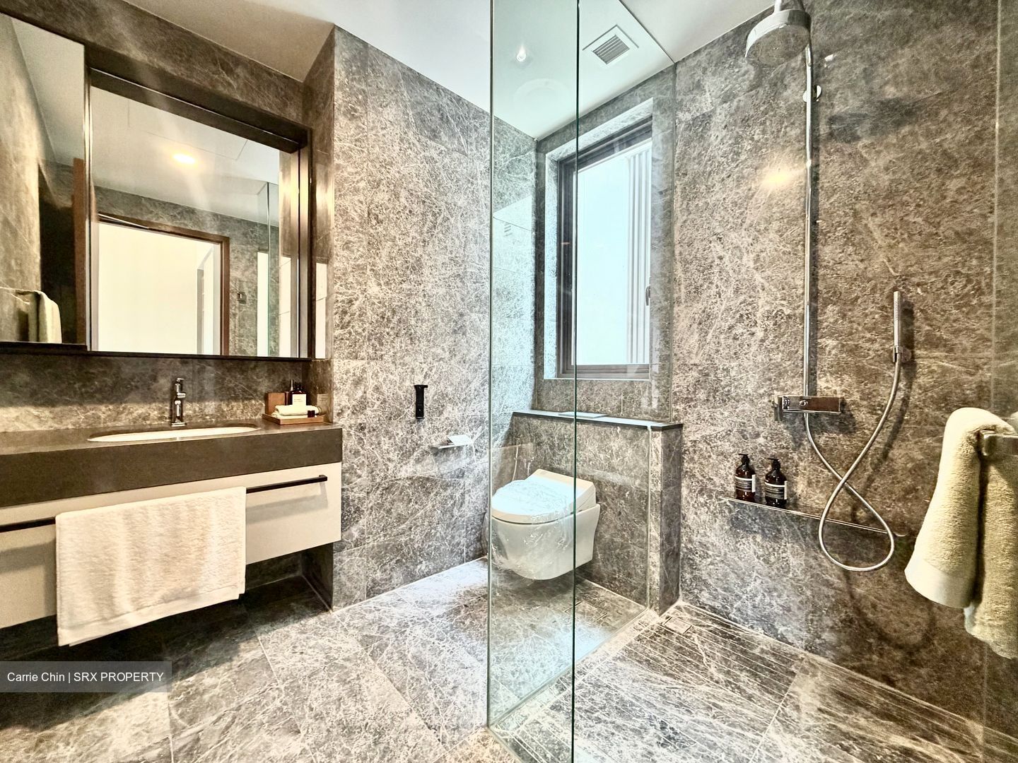 Parksuites (D10), Apartment #619586021